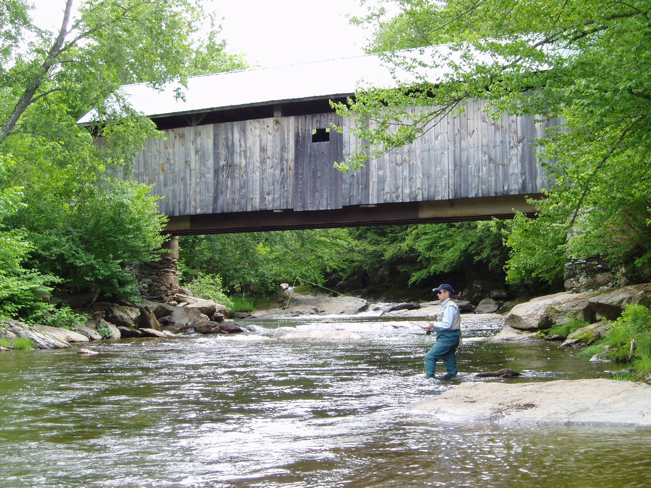 5c4433_823b07ce9d904c959a3dc30d40f59019~mv2