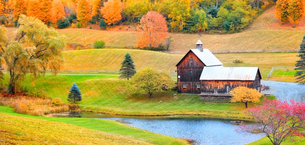 5c4433_b42a0569804e4c898dddc45aa0871b98~mv2